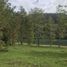  Terrain for sale in Cochamo, Llanquihue, Cochamo