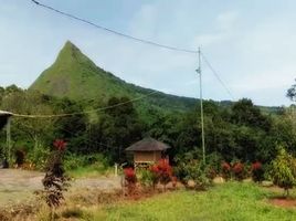  Land for sale in Bogor Selatan, Bogor, Bogor Selatan