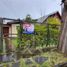 3 Bedroom House for sale in Chile, Nueva Imperial, Cautin, Araucania, Chile