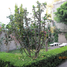 7 Habitación Villa en venta en Miguel Hidalgo, Ciudad de México, Miguel Hidalgo