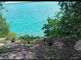  Grundstück zu verkaufen in Othon P Blanco, Quintana Roo, Othon P Blanco