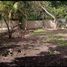  Grundstück zu verkaufen in Othon P Blanco, Quintana Roo, Othon P Blanco