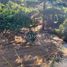  Terreno (Parcela) en venta en Cardenal Caro, Libertador General Bernardo O'Higgins, Navidad, Cardenal Caro