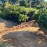  Terreno (Parcela) en venta en Cardenal Caro, Libertador General Bernardo O'Higgins, Navidad, Cardenal Caro