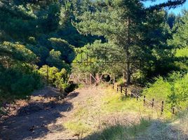  Terreno (Parcela) en venta en Cardenal Caro, Libertador General Bernardo O'Higgins, Navidad, Cardenal Caro
