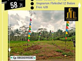  Land for sale in Kepanjen, Malang Regency, Kepanjen