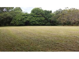  Land for sale in San Carlos, Panama Oeste, Las Uvas, San Carlos