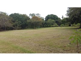  Land for sale in Las Uvas, San Carlos, Las Uvas