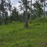  Land for sale in Penebel, Tabanan, Penebel