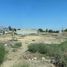 Land for rent in Tijuana, Baja California, Tijuana, Baja California