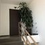 300 m2 Office for rent in Naucalpan De Juarez, Mexico, Naucalpan De Juarez