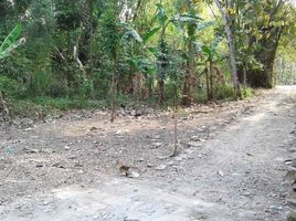  Land for sale in Bantul, Yogyakarta, Pajangan, Bantul