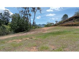 Terrain à vendre à Rionegro, Antioquia, Rionegro, Antioquia