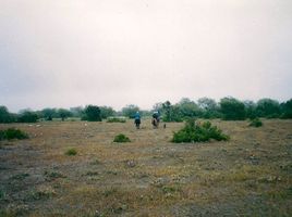  Land for sale in Rioverde, San Luis Potosi, Rioverde, San Luis Potosi