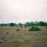  Land for sale in Rioverde, San Luis Potosi, Rioverde