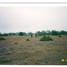  Land for sale in Rioverde, San Luis Potosi, Rioverde, San Luis Potosi