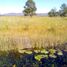  Land for sale in Rioverde, San Luis Potosi, Rioverde