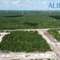  Land for sale in Progreso, Yucatan, Progreso