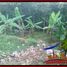  Land for sale in Selemadeg, Tabanan, Selemadeg