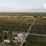 Terrain à vendre à Telchac Puerto, Yucatan, Telchac Puerto