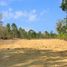  Land for sale in Pengasih, Kulon Progo, Pengasih