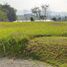  Terreno (Parcela) en venta en Sumurbandung, West Jawa, Sumurbandung, Bandung