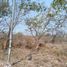  Land for rent in Merida, Yucatan, Merida, Yucatan