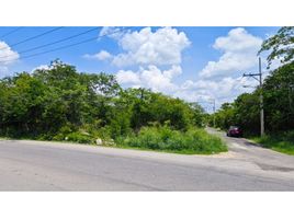  Grundstück zu verkaufen in Tixpehual, Yucatan, Tixpehual