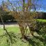 3 Bedroom House for sale in Chile, San Bernardo, Maipo, Santiago, Chile