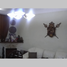 2 Schlafzimmer Haus zu verkaufen in Federal Capital, Buenos Aires, Federal Capital
