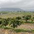  Terreno (Parcela) en venta en Alhue, Melipilla, Alhue