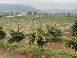  Terreno (Parcela) en venta en Alhue, Melipilla, Alhue