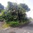  Terreno (Parcela) en venta en Pakem, Yogyakarta, Pakem, Sleman, Yogyakarta