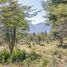  Land for sale in Chile, Pucon, Cautin, Araucania, Chile