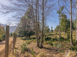  Land for sale in Chile, Pucon, Cautin, Araucania, Chile
