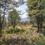  Land for sale in Chile, Pucon, Cautin, Araucania, Chile