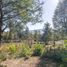  Land for sale in Chile, Pucon, Cautin, Araucania, Chile