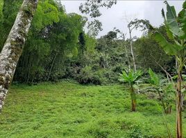  Land for sale in Pereira, Risaralda, Pereira