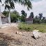 2 Bedroom House for sale in Klaten, Jawa Tengah, Prambanan, Klaten