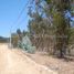  Terreno (Parcela) en venta en Valparaíso, Algarrobo, San Antonio, Valparaíso