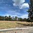  Terreno (Parcela) en venta en Salamanca, Guanajuato, Salamanca