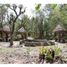  Land for sale in Chemax, Yucatan, Chemax