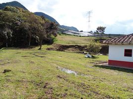  Grundstück zu verkaufen in San Carlos, Antioquia, San Carlos