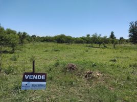  Terreno (Parcela) en venta en Garay, Santa Fe, Garay