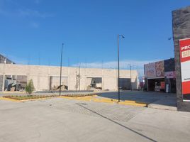 Studio Haus zu vermieten in Pachuca De Soto, Hidalgo, Pachuca De Soto