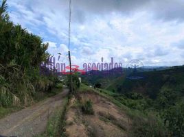  Land for sale in Pereira, Risaralda, Pereira