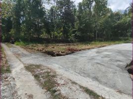  Land for sale in Bantul, Yogyakarta, Sedayu, Bantul