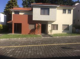 3 Schlafzimmer Villa zu verkaufen in Lerma, Mexico, Lerma