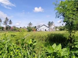  Land for sale in Yogyakarta, Ngaglik, Sleman, Yogyakarta