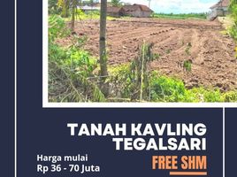  Land for sale in Genteng, Banyuwangi, Genteng